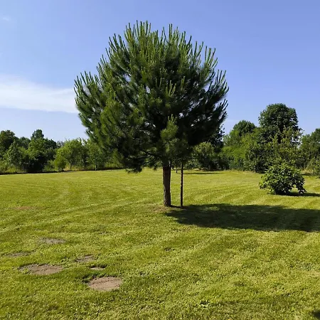 Magnifique Charentaise Avec Piscine&beau Jardin - Moderne&confort - Wifi Gratuit Villa *